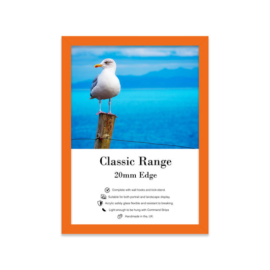 Orange Picture Frame