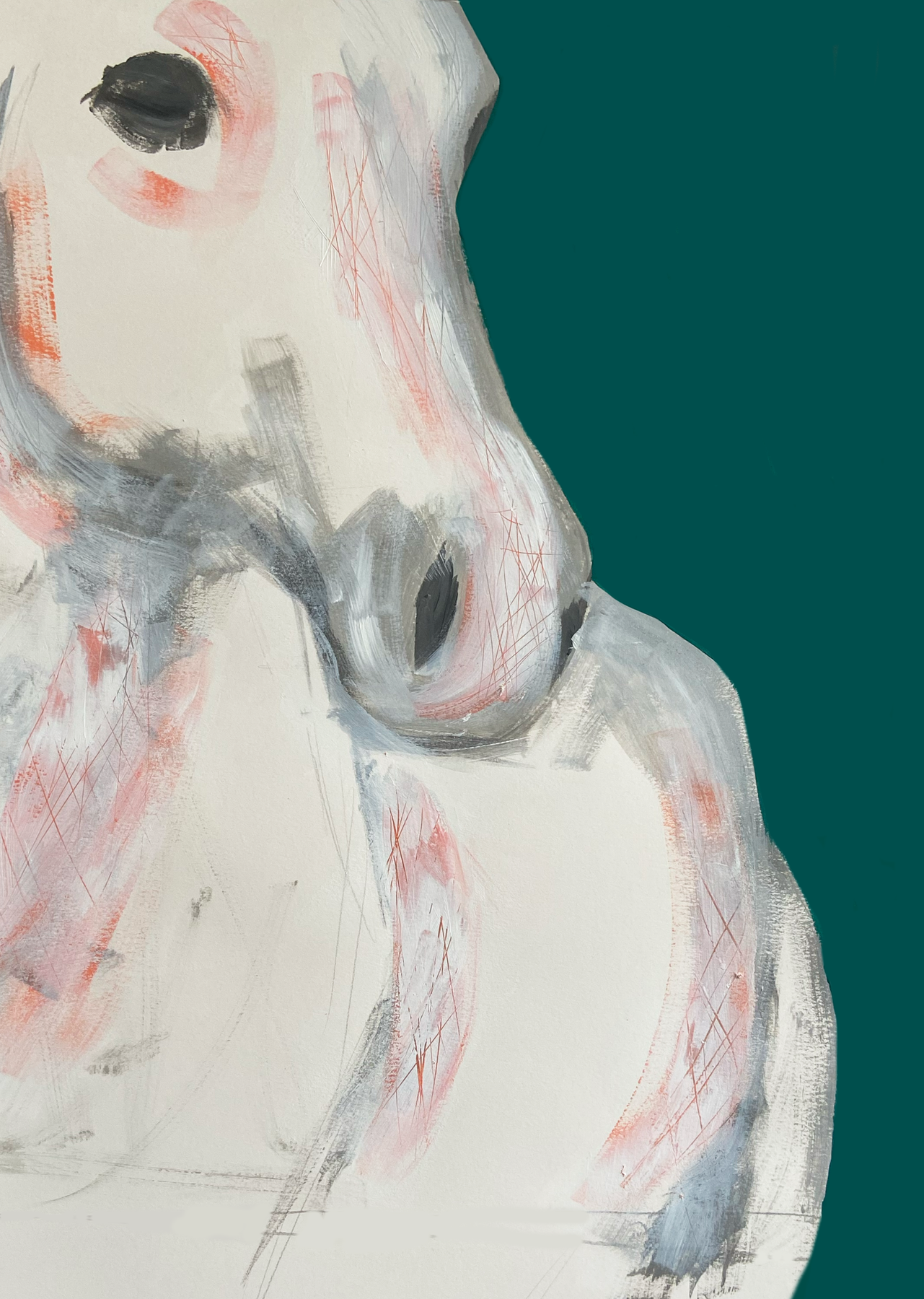 Close-up of a horse's face with a teal background