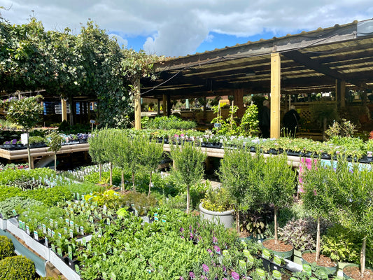 Our Lovely Stockists: Harpins Garden Centre