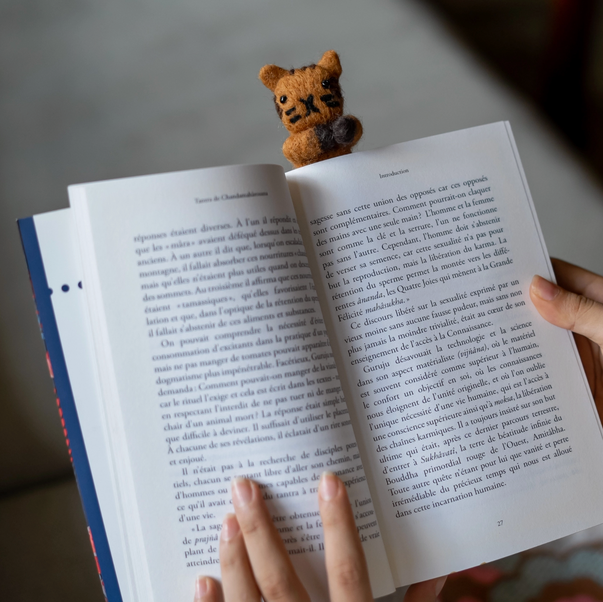 felt-cat-bookmark