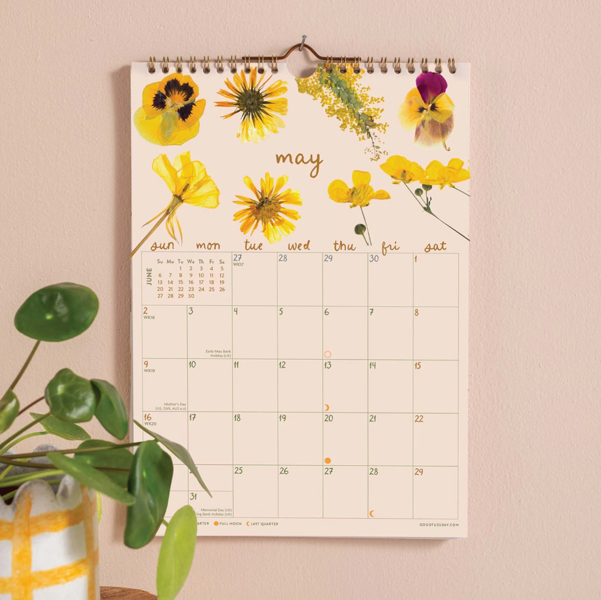 A spiral-bound monthly wall calendar page for May hangs on a beige wall. The calendar features pressed yellow flowers, purple pansies, and green foliage printed on the cover, with a weekly grid and blank date boxes.